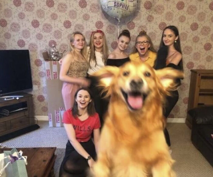 50 Animal Photos That Could Totally Win The Comedy Show
