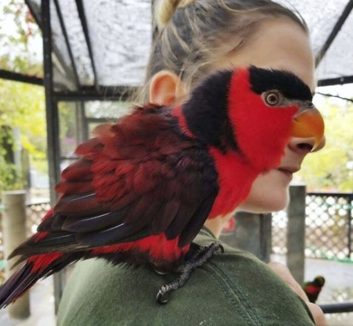 50 Animal Photos That Could Totally Win The Comedy Show
