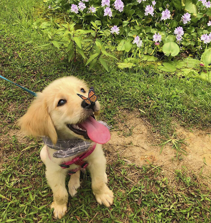 50 Animal Photos That Could Totally Win The Comedy Show