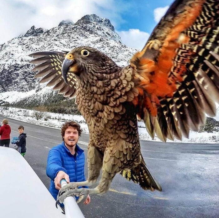 50 Animal Photos That Could Totally Win The Comedy Show