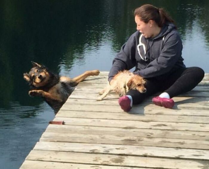 50 Animal Photos That Could Totally Win The Comedy Show