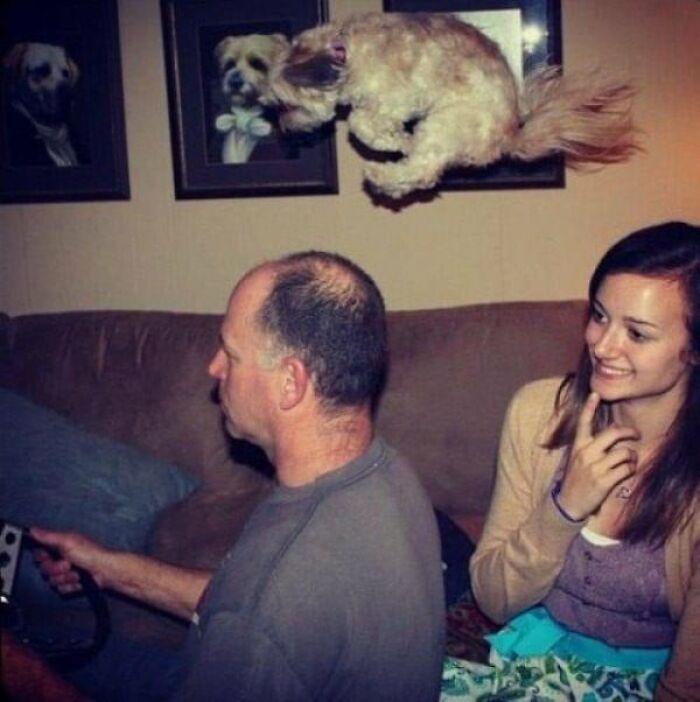 50 Animal Photos That Could Totally Win The Comedy Show