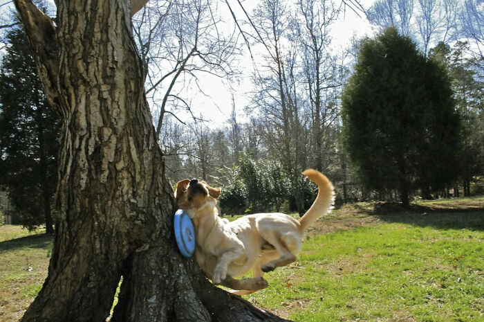 50 Animal Photos That Could Totally Win The Comedy Show