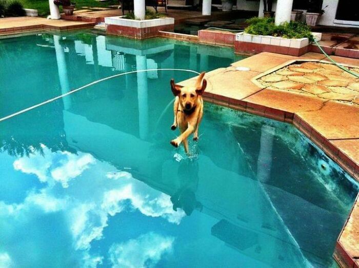 50 Animal Photos That Could Totally Win The Comedy Show