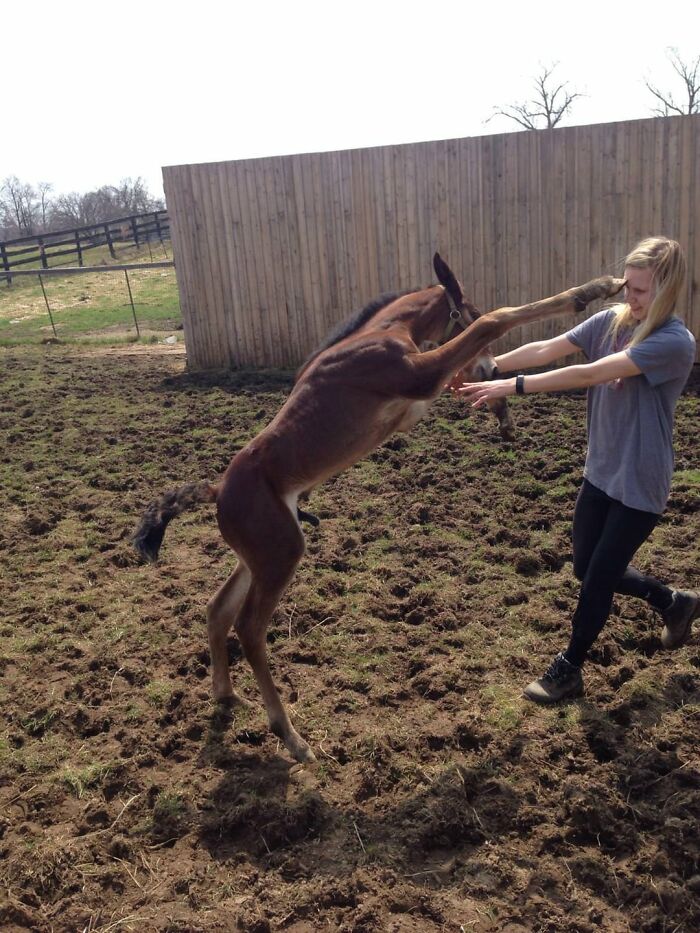 50 Animal Photos That Could Totally Win The Comedy Show
