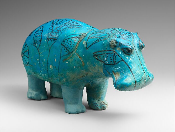 "William The Hippo": The Hippo That Got Leg Broken on Purpose