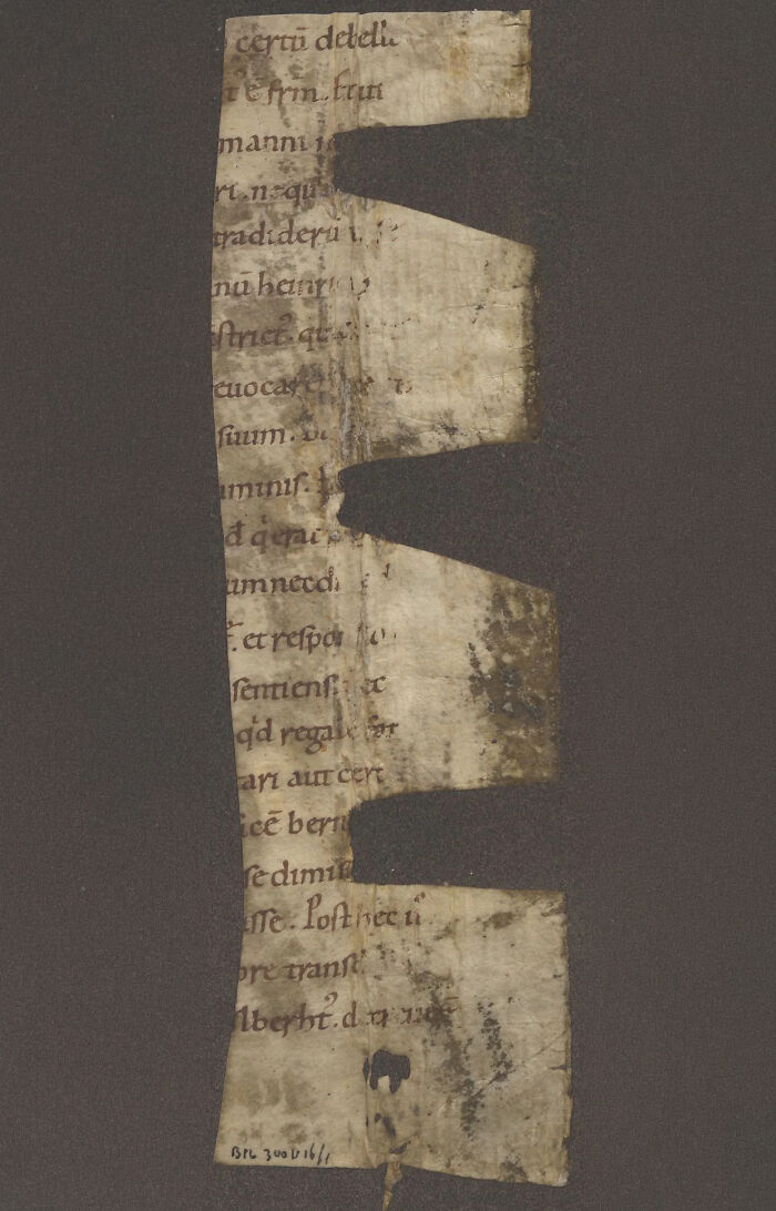 Carolingian Manuscript Fragment: Old Pages Glued for Strength