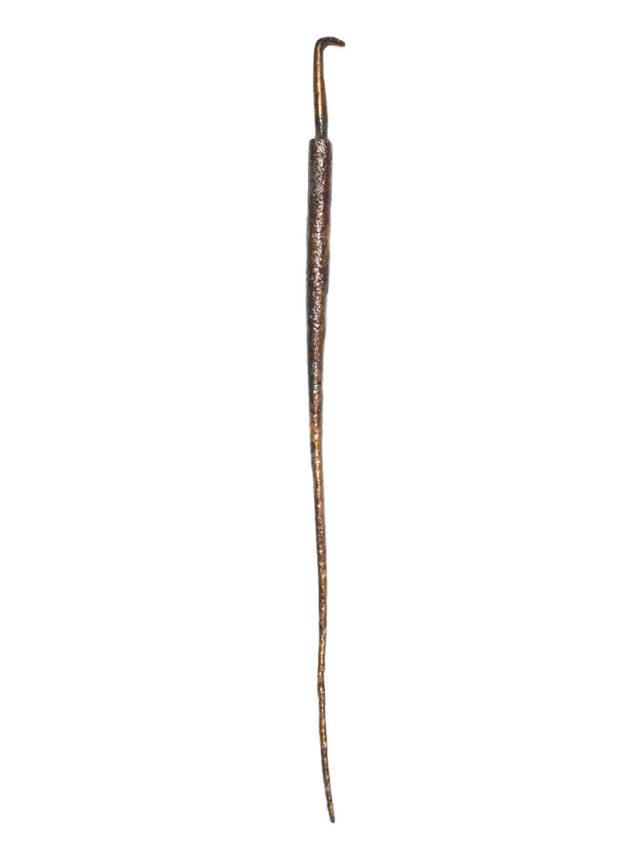 Ancient Roman Bronze Medical Probe: Surgery Tool That Withstood Time