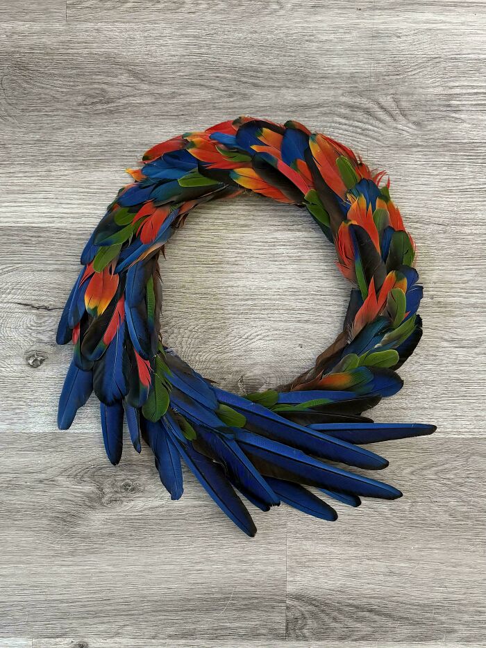 Neighbor Hooked Me Up With Parrot Feathers—Made A Fancy Wreath!