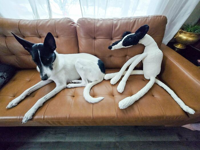 The Coolest Craft Projects That'll Make You Go 'Wow, They Did That?!'