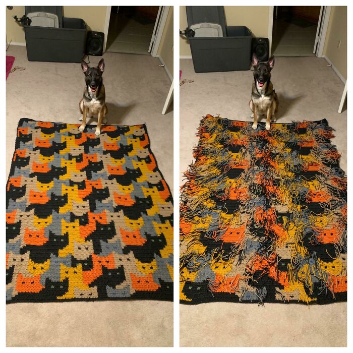 The Coolest Craft Projects That'll Make You Go 'Wow, They Did That?!'