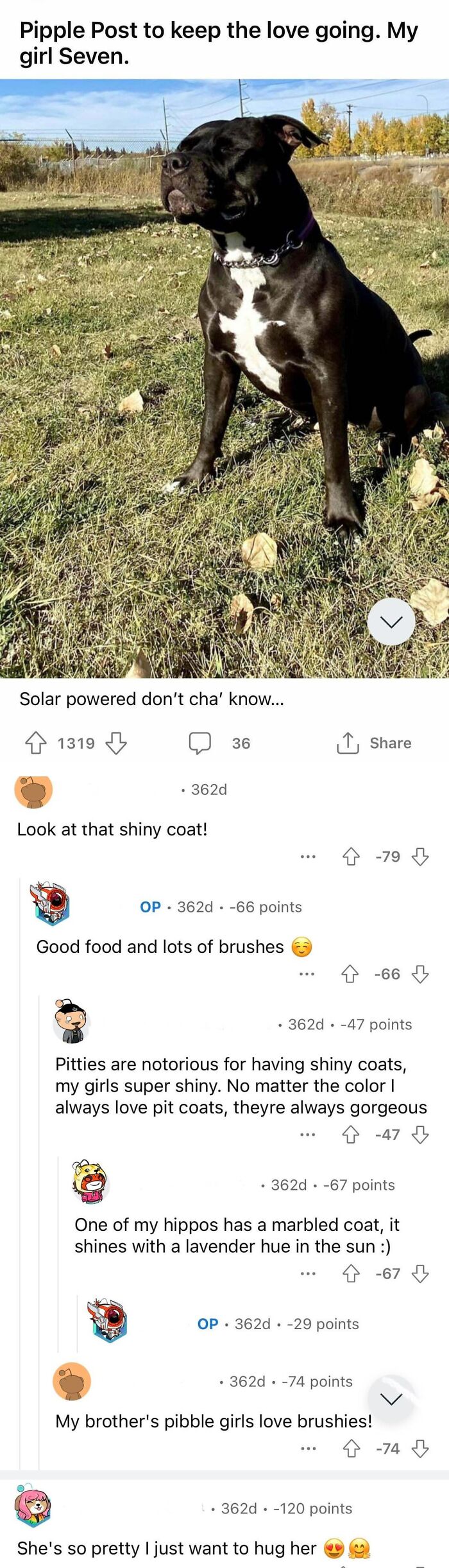 Wait, People Got DOWNVOTED This Much?!