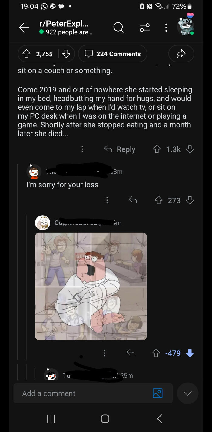Wait, People Got DOWNVOTED This Much?!