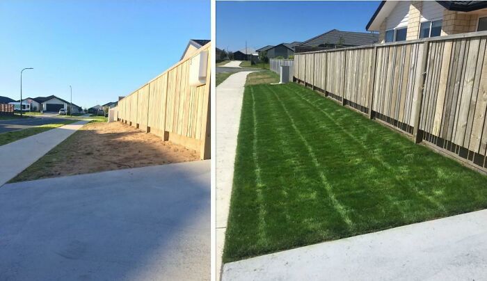 Lawns Are Dreams You Can Make Come True!