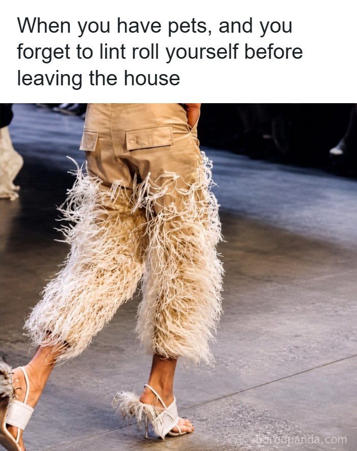 The Ultimate Collection of Memes That Totally Get Adulting Struggles