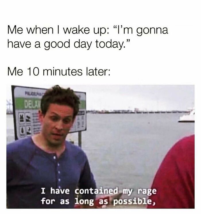 The Ultimate Collection of Memes That Totally Get Adulting Struggles
