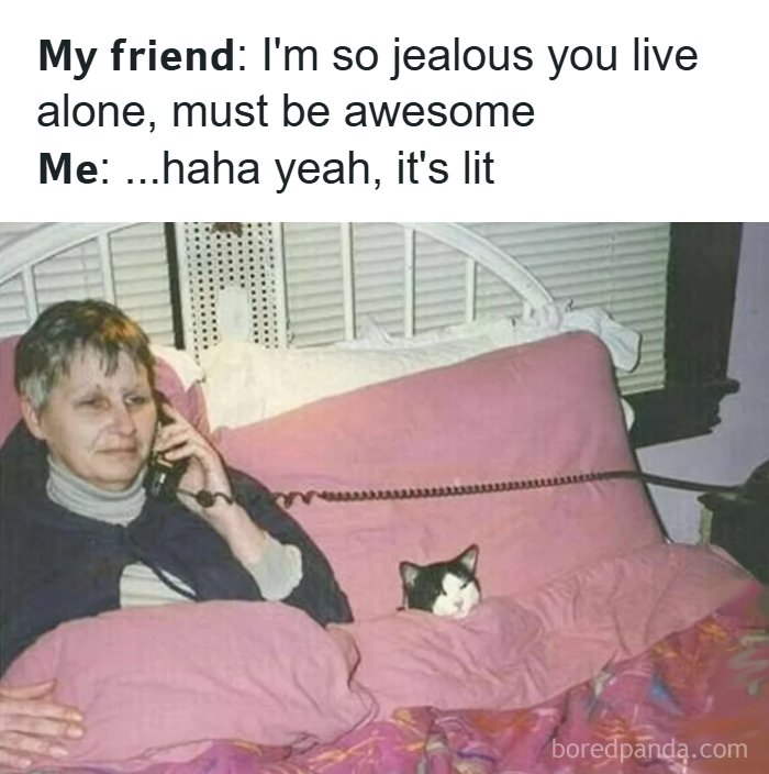 The Ultimate Collection of Memes That Totally Get Adulting Struggles