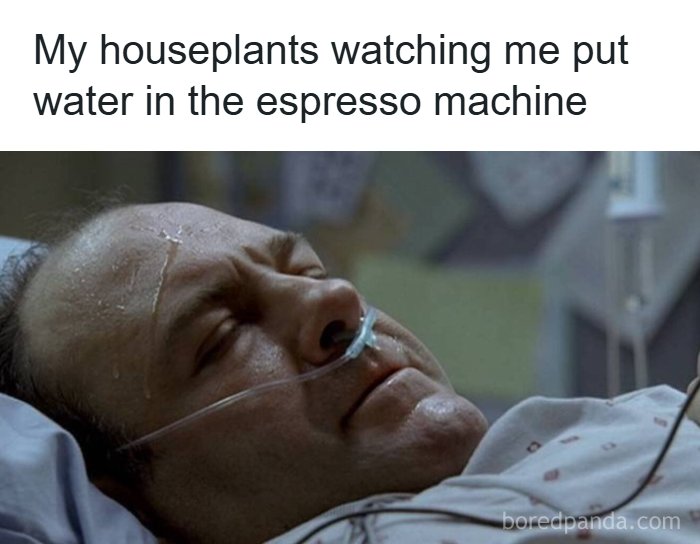 The Ultimate Collection of Memes That Totally Get Adulting Struggles