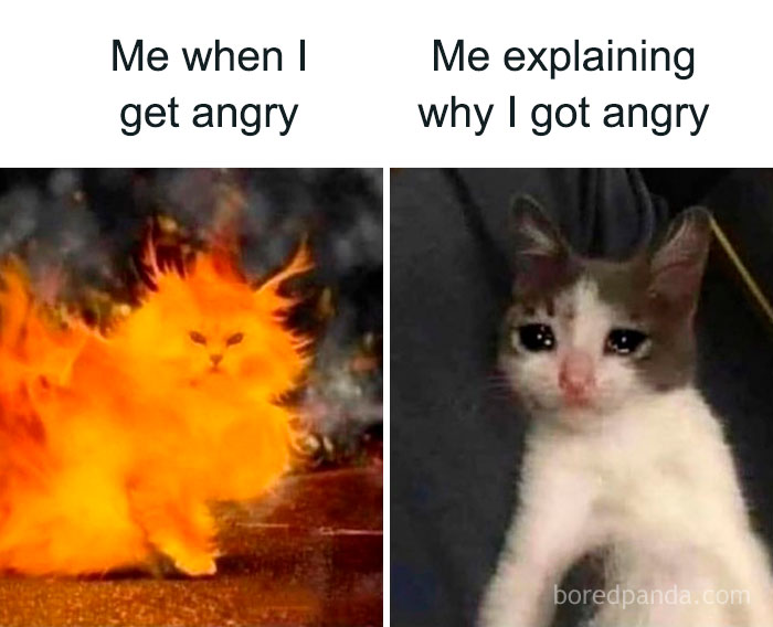The Ultimate Collection of Memes That Totally Get Adulting Struggles