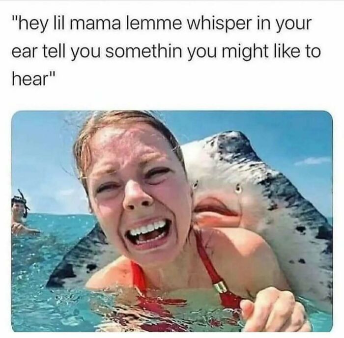 The Ultimate Collection of Memes That Totally Get Adulting Struggles