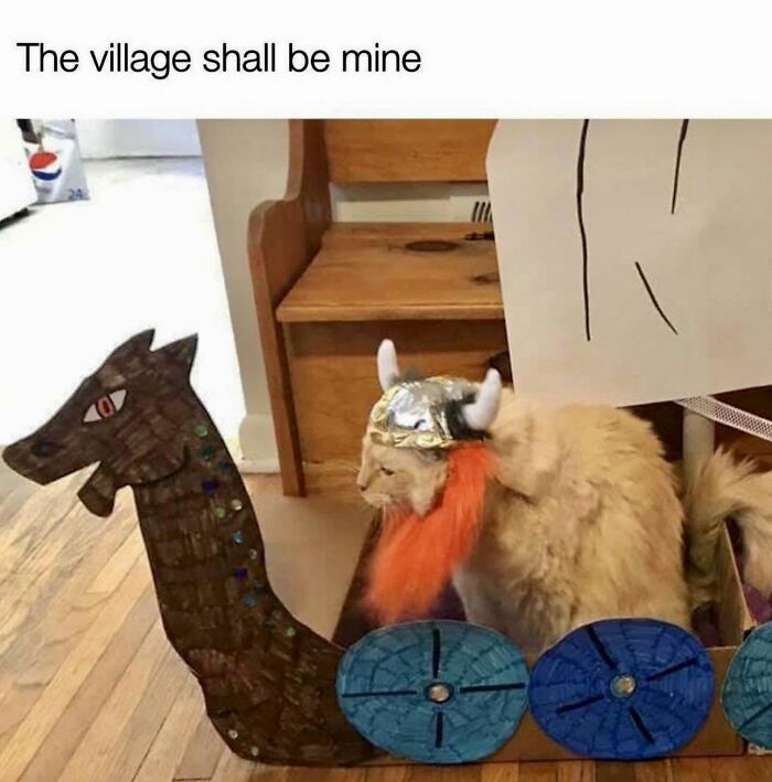 Let's Dive Into 78 Animal Memes That Are So Cute They'll Melt Your Face Off