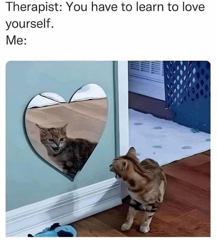 Let's Dive Into 78 Animal Memes That Are So Cute They'll Melt Your Face Off
