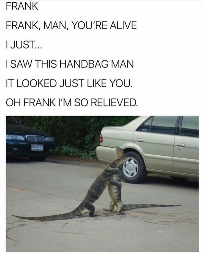 Let's Dive Into 78 Animal Memes That Are So Cute They'll Melt Your Face Off