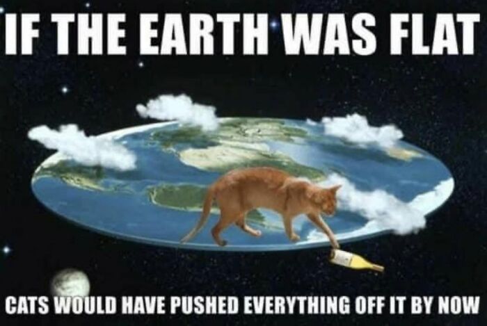 Let's Dive Into 78 Animal Memes That Are So Cute They'll Melt Your Face Off