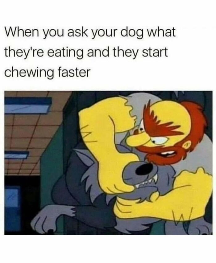 Let's Dive Into 78 Animal Memes That Are So Cute They'll Melt Your Face Off