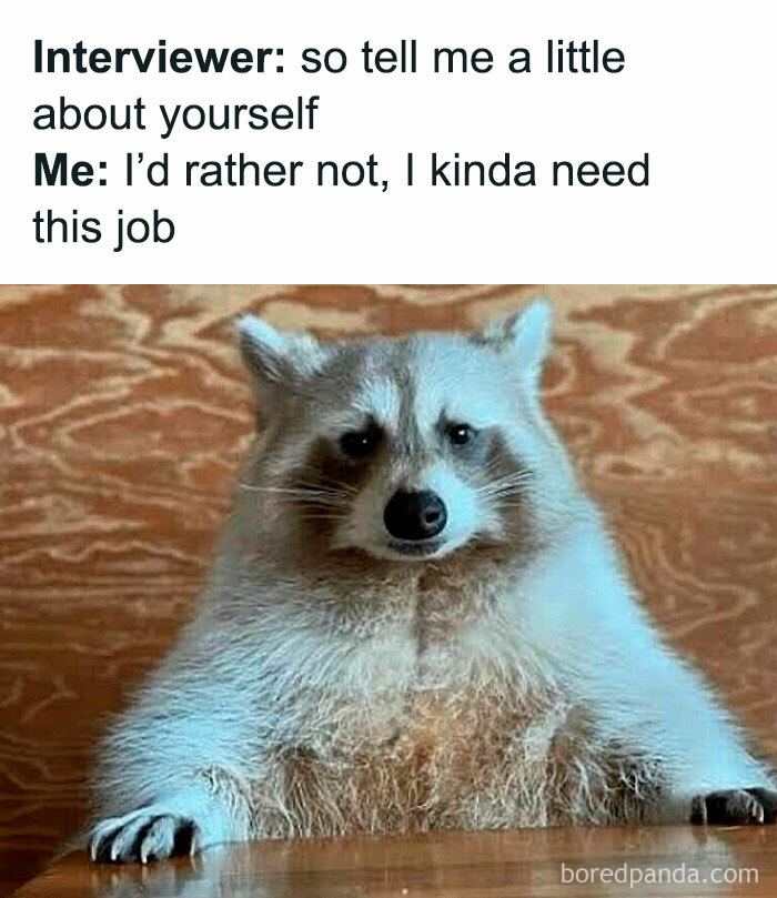 Let's Dive Into 78 Animal Memes That Are So Cute They'll Melt Your Face Off