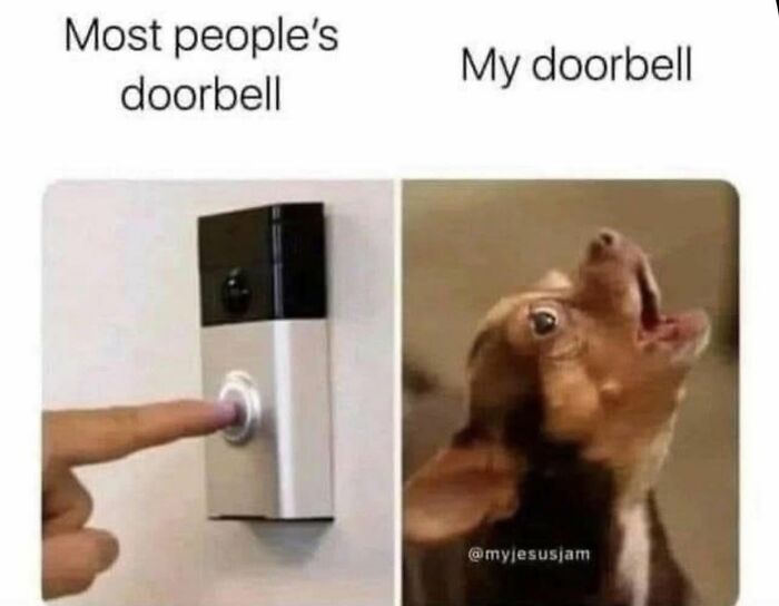 Let's Dive Into 78 Animal Memes That Are So Cute They'll Melt Your Face Off