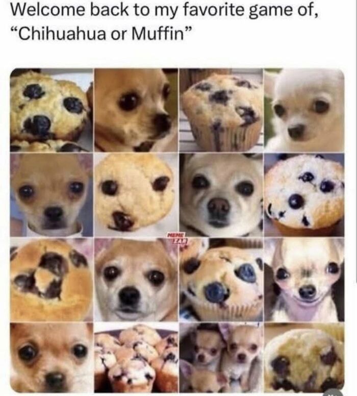 Let's Dive Into 78 Animal Memes That Are So Cute They'll Melt Your Face Off