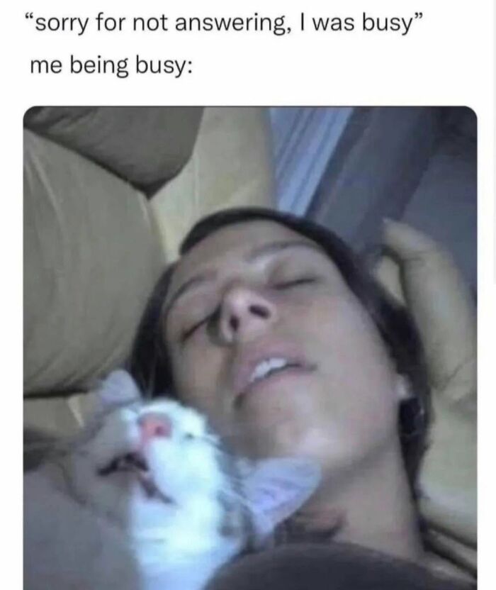 Let's Dive Into 78 Animal Memes That Are So Cute They'll Melt Your Face Off