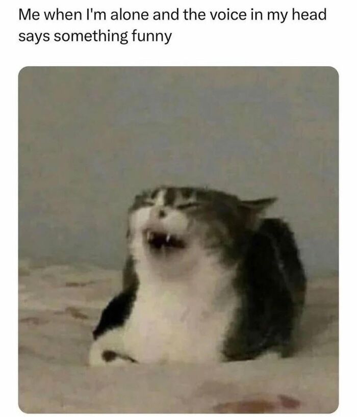 Let's Dive Into 78 Animal Memes That Are So Cute They'll Melt Your Face Off
