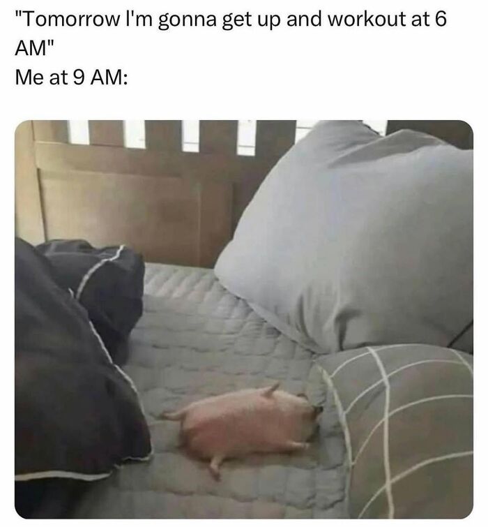 Let's Dive Into 78 Animal Memes That Are So Cute They'll Melt Your Face Off