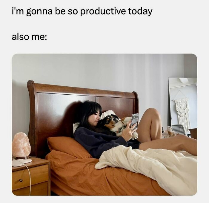 Let's Dive Into 78 Animal Memes That Are So Cute They'll Melt Your Face Off