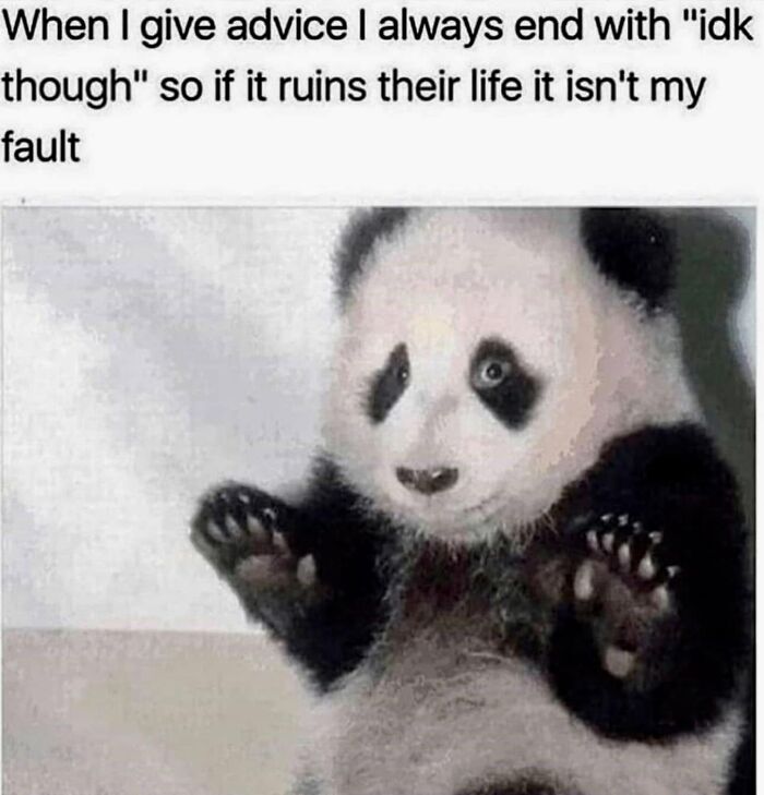 Let's Dive Into 78 Animal Memes That Are So Cute They'll Melt Your Face Off