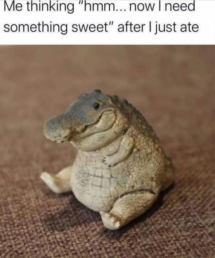Let's Dive Into 78 Animal Memes That Are So Cute They'll Melt Your Face Off