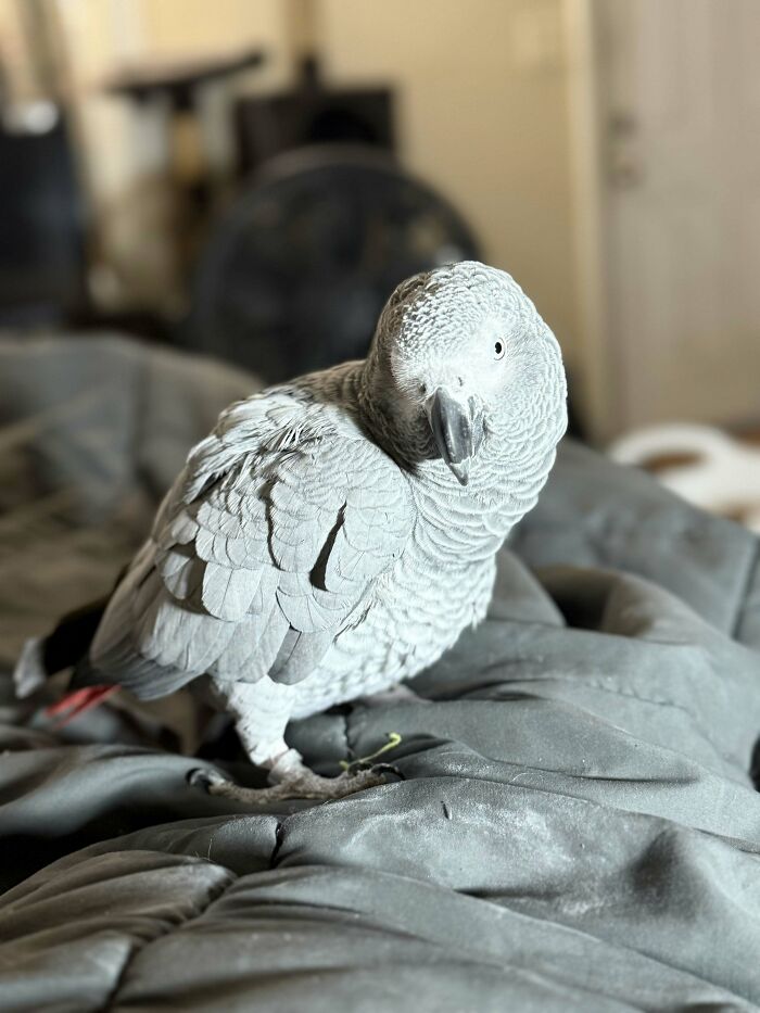 The Craziest Vet Bills That Will Make You Laugh (And Cry)