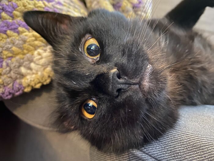 The Craziest Vet Bills That Will Make You Laugh (And Cry)
