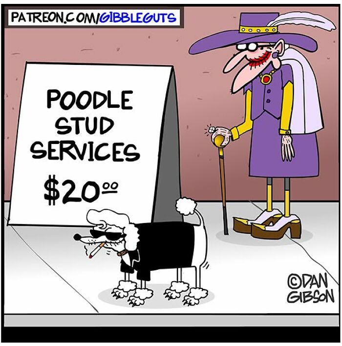 Wait Till You See These 46 Comics About Getting Older (They're Hilarious!)