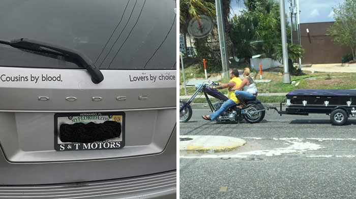 Florida’s Wild Side: Pics That’ll Make You Go ‘Wait, What?!’