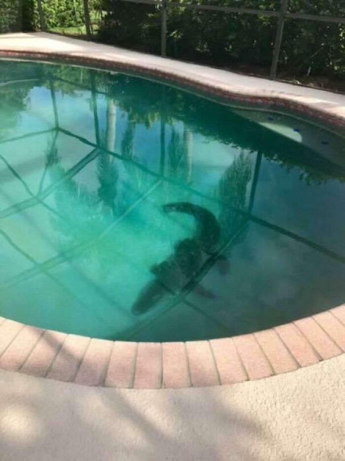 Why You Always Check The Pool First
