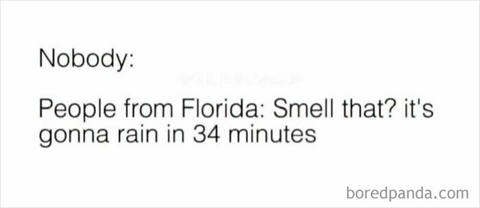 Just Your Typical Florida Street Scene