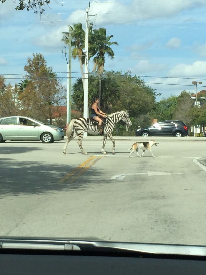 When Your Sister Sends You Florida’s Finest
