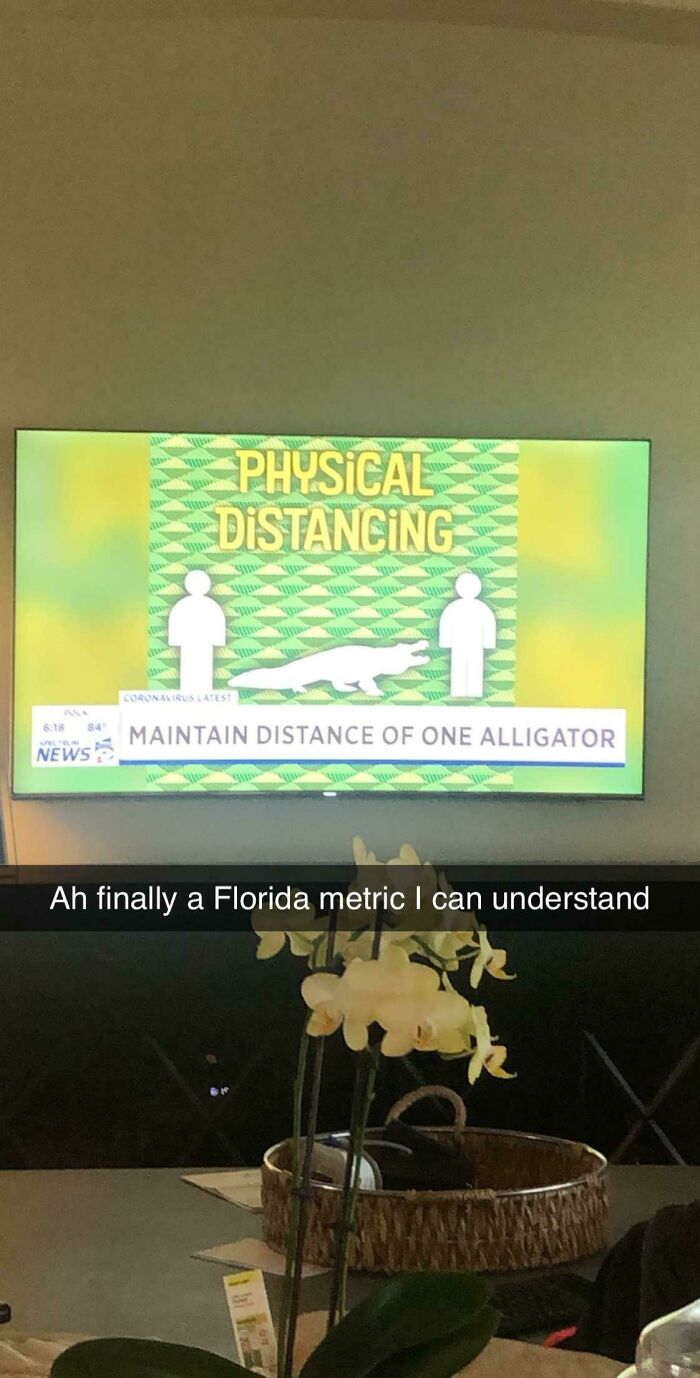 The Florida News Be Like...