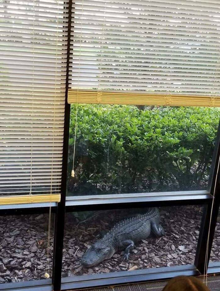 When Your Office Has A Different Vibe