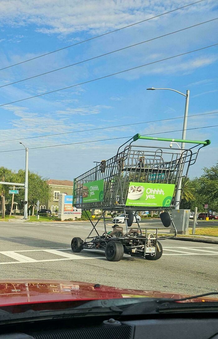 Ah, Florida. Never A Dull Moment.