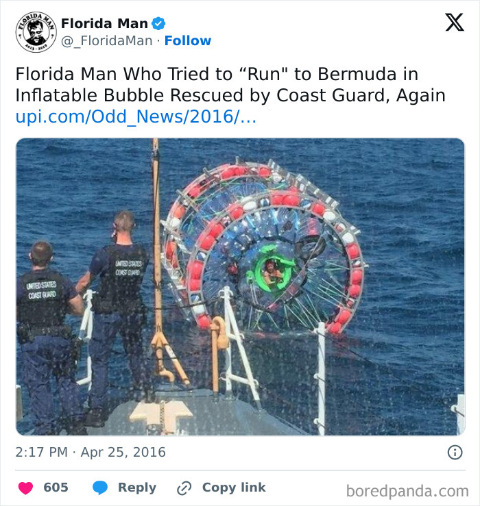 Florida's Wild Side: Pics That'll Make You Go 'Wait, What?!'