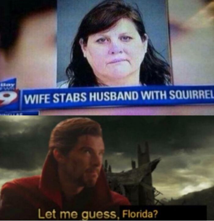 Another Classic Florida Moment